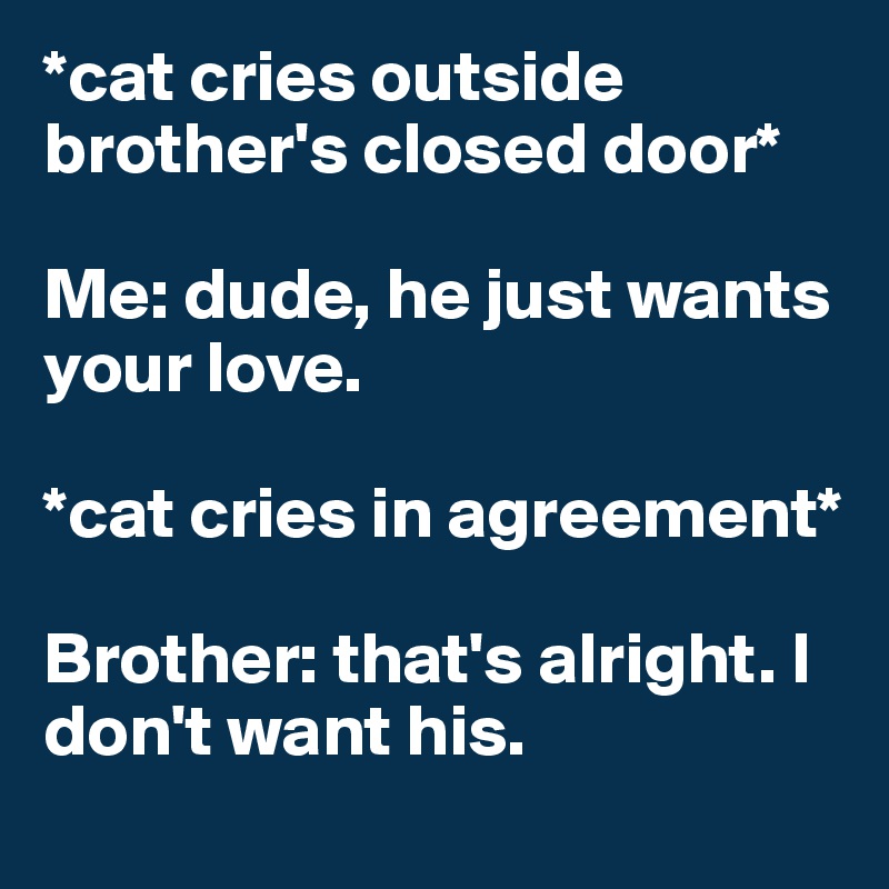 *cat cries outside brother's closed door* 

Me: dude, he just wants your love. 

*cat cries in agreement*

Brother: that's alright. I don't want his.