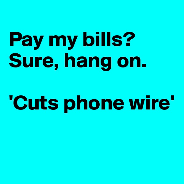 
Pay my bills? 
Sure, hang on.

'Cuts phone wire'


