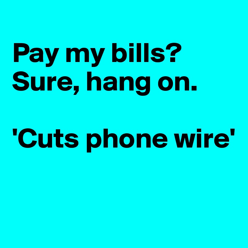 
Pay my bills? 
Sure, hang on.

'Cuts phone wire'

