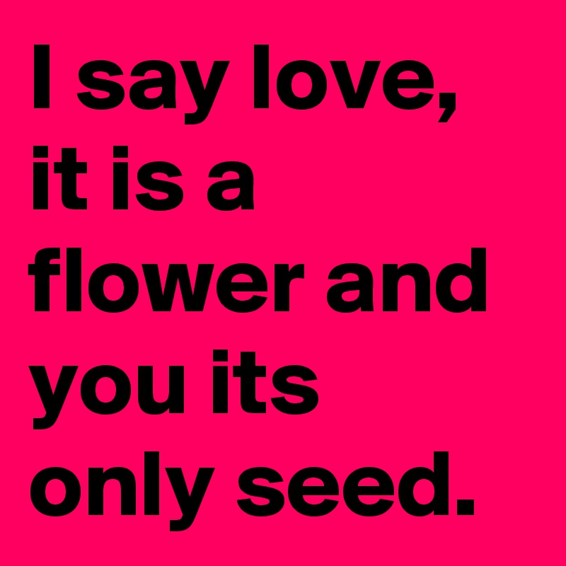 I say love, it is a flower and you its only seed.