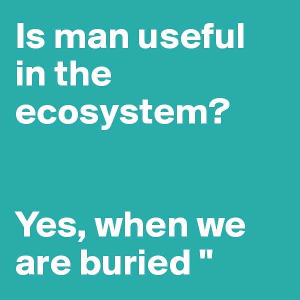 Is man useful in the ecosystem? 


Yes, when we are buried "