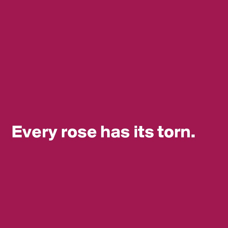 





Every rose has its torn.



