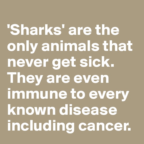 
'Sharks' are the only animals that never get sick. They are even immune to every known disease including cancer.