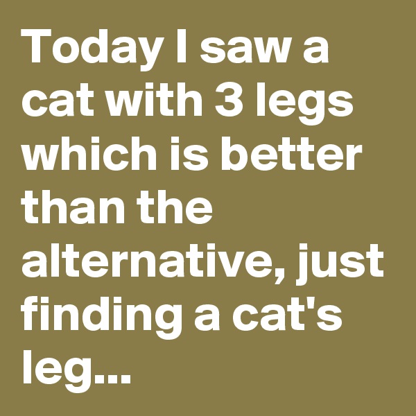Today I saw a cat with 3 legs which is better than the alternative, just finding a cat's leg...