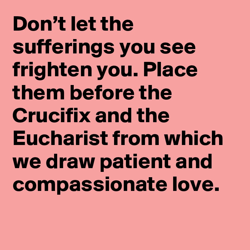 Don’t let the sufferings you see frighten you. Place them before the Crucifix and the Eucharist from which we draw patient and compassionate love.
