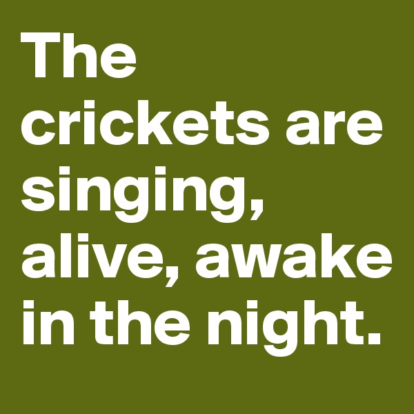 The crickets are singing, alive, awake in the night.
