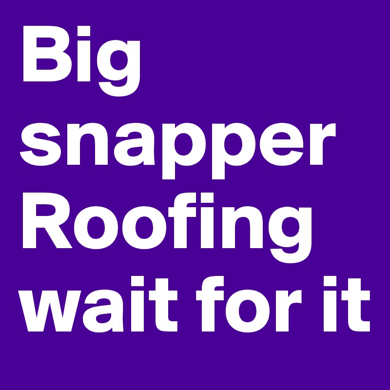 Big snapper Roofing wait for it