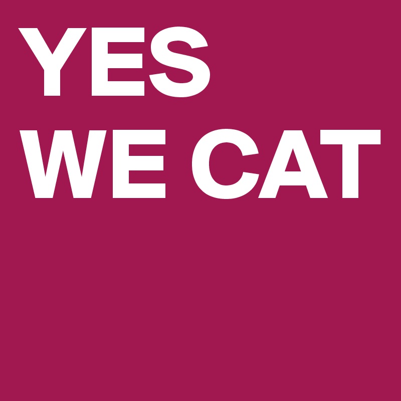 YES WE CAT
