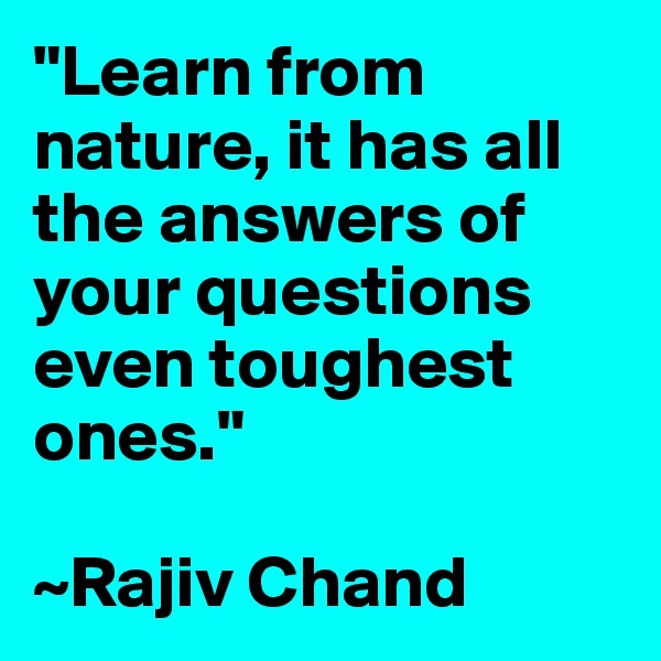 "Learn from nature, it has all the answers of your questions even toughest ones."

~Rajiv Chand