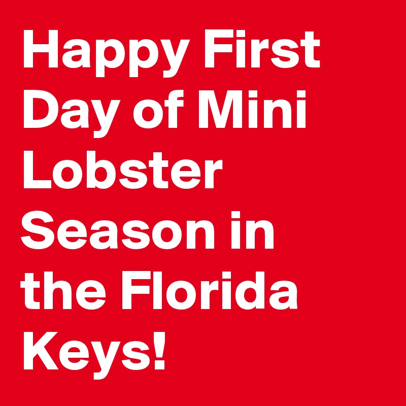 Happy First Day of Mini Lobster Season in the Florida Keys!