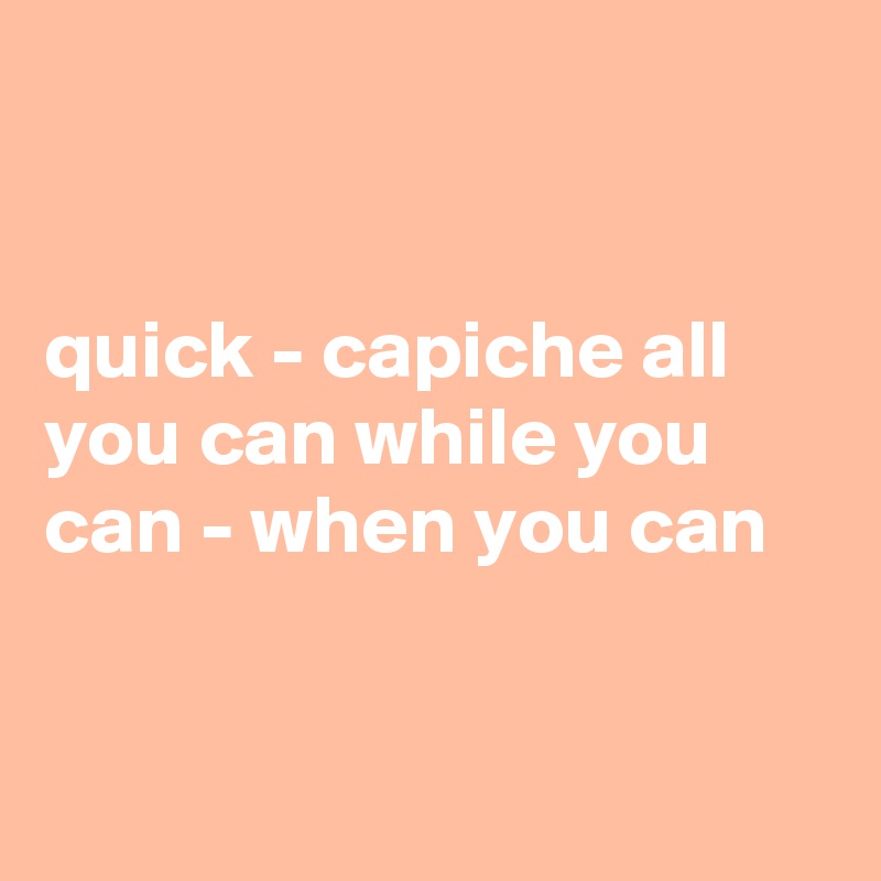


quick - capiche all you can while you can - when you can



