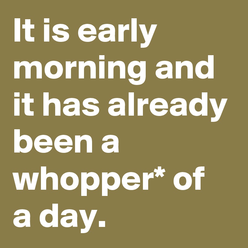 It is early morning and it has already been a whopper* of a day.