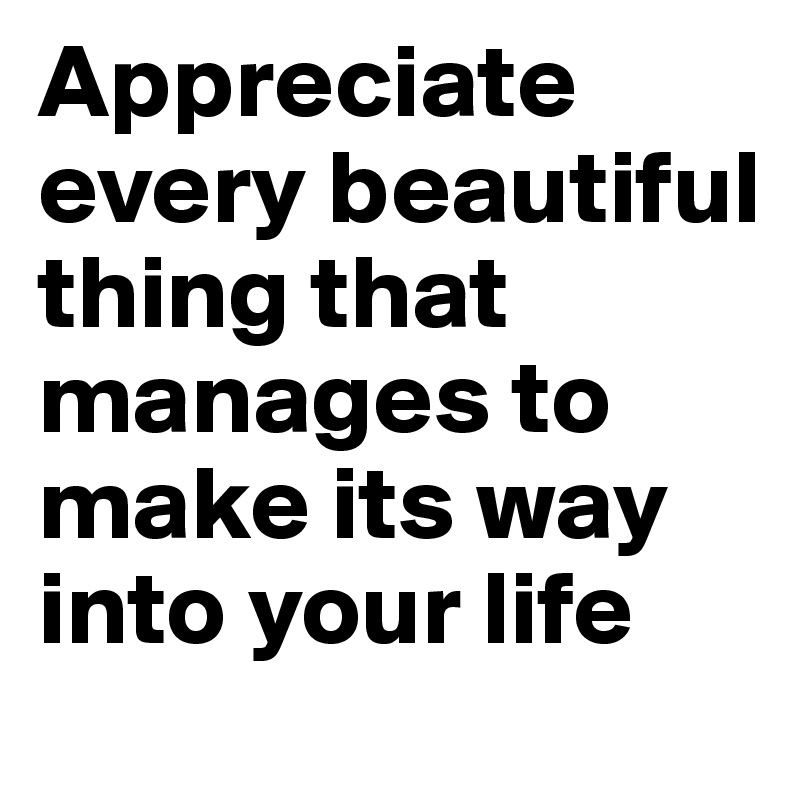 Appreciate every beautiful thing that manages to make its way into your life