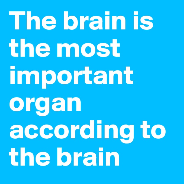 The brain is the most important organ according to the brain
