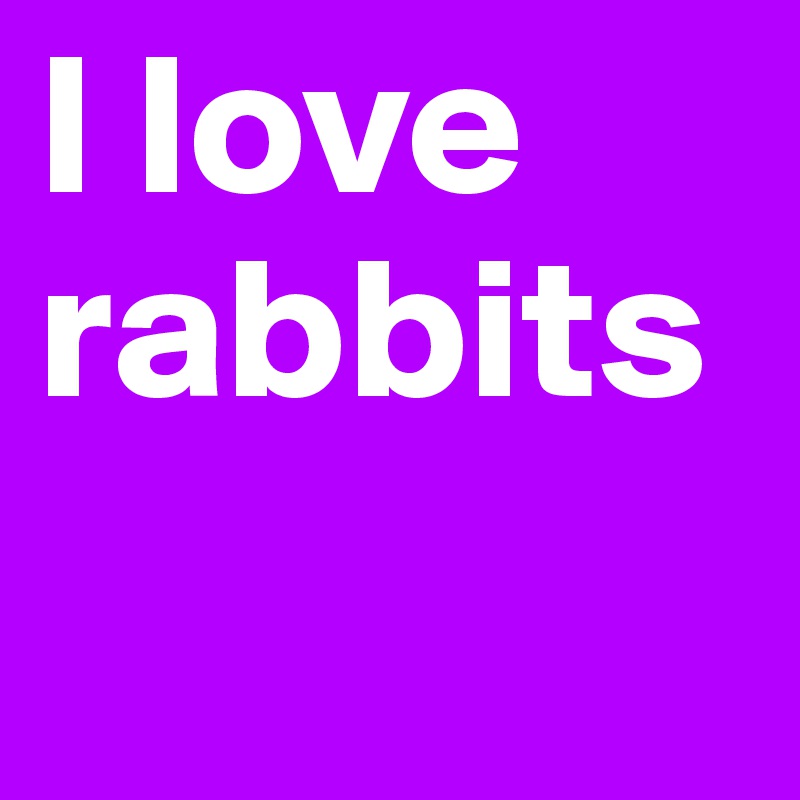 I love rabbits
