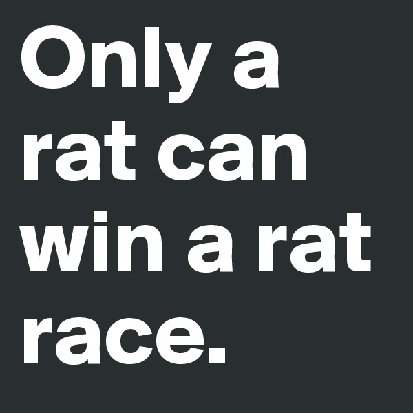 Only a rat can win a rat race.