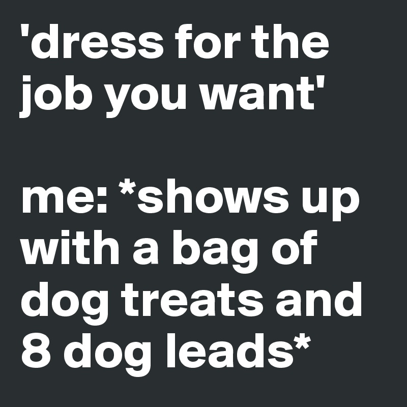 'dress for the job you want'

me: *shows up with a bag of dog treats and 8 dog leads* 