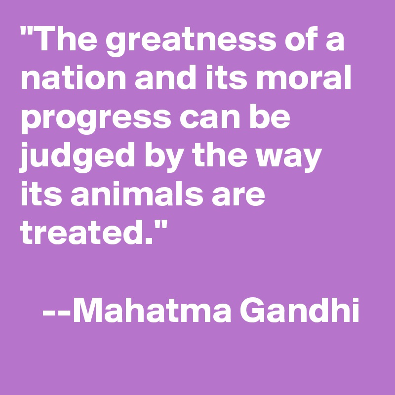 "The greatness of a nation and its moral progress can be judged by the way its animals are treated."

   --Mahatma Gandhi