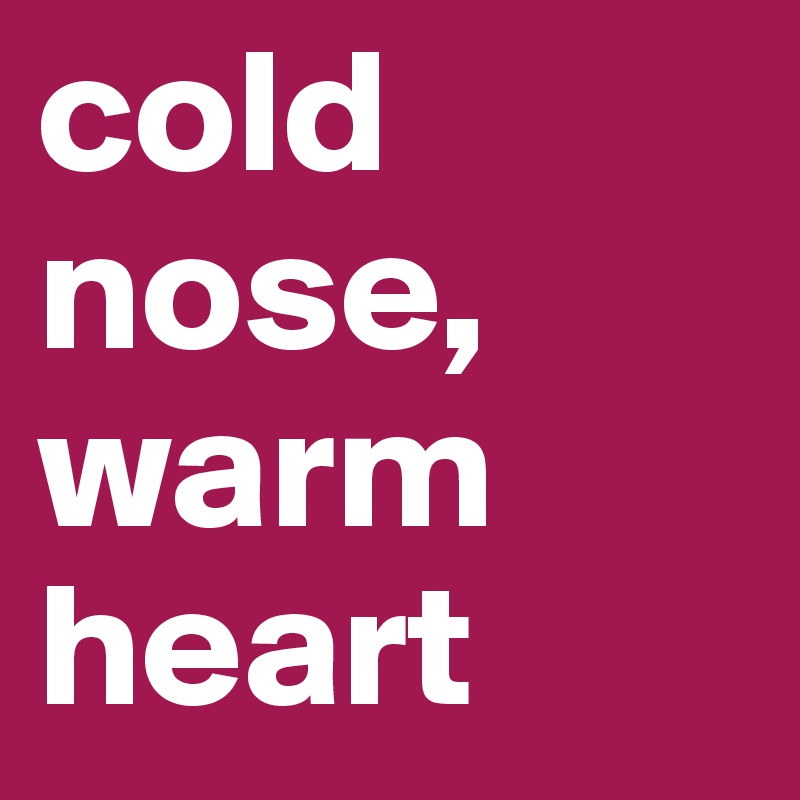 cold nose, warm heart