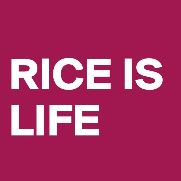 
RICE IS LIFE