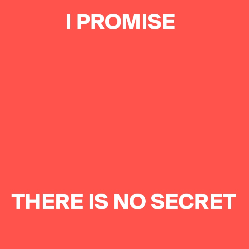             I PROMISE







THERE IS NO SECRET 