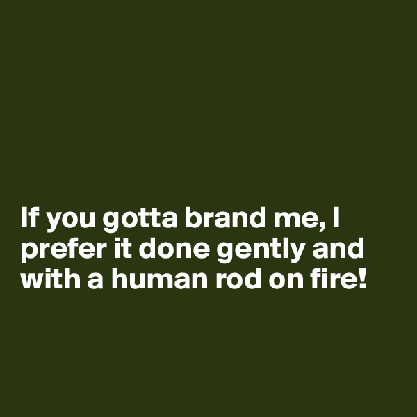 





If you gotta brand me, I prefer it done gently and with a human rod on fire! 


