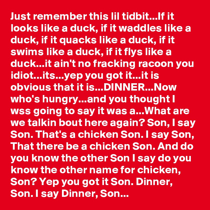 Just remember this lil tidbit...If it looks like a duck, if it waddles like a duck, if it quacks like a duck, if it swims like a duck, if it flys like a duck...it ain't no fracking racoon you idiot...its...yep you got it...it is obvious that it is...DINNER...Now who's hungry...and you thought I wss going to say it was a...What are we talkin bout here again? Son, I say Son. That's a chicken Son. I say Son, That there be a chicken Son. And do you know the other Son I say do you know the other name for chicken, Son? Yep you got it Son. Dinner, Son. I say Dinner, Son...