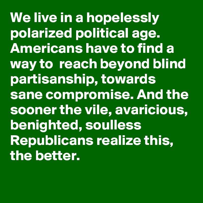 We live in a hopelessly polarized political age. Americans have to find a way to  reach beyond blind partisanship, towards sane compromise. And the sooner the vile, avaricious, benighted, soulless Republicans realize this, the better.