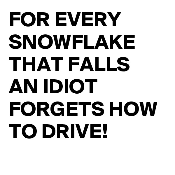 FOR EVERY SNOWFLAKE THAT FALLS
AN IDIOT FORGETS HOW TO DRIVE!
