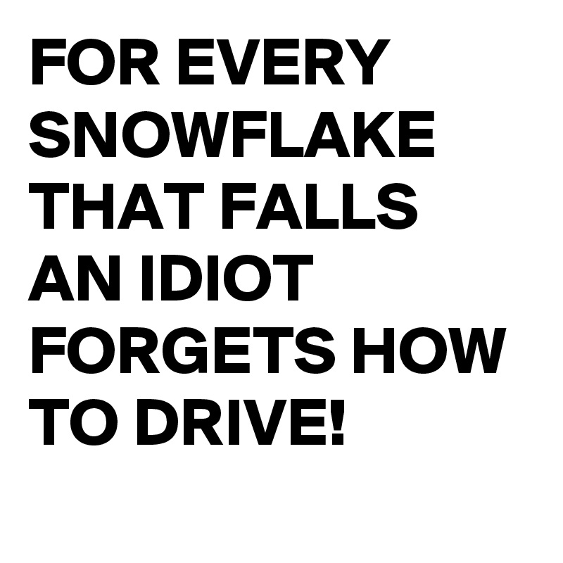 FOR EVERY SNOWFLAKE THAT FALLS
AN IDIOT FORGETS HOW TO DRIVE!
