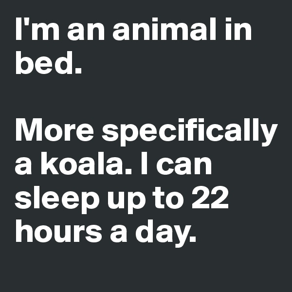 I'm an animal in bed. 

More specifically a koala. I can sleep up to 22 hours a day. 