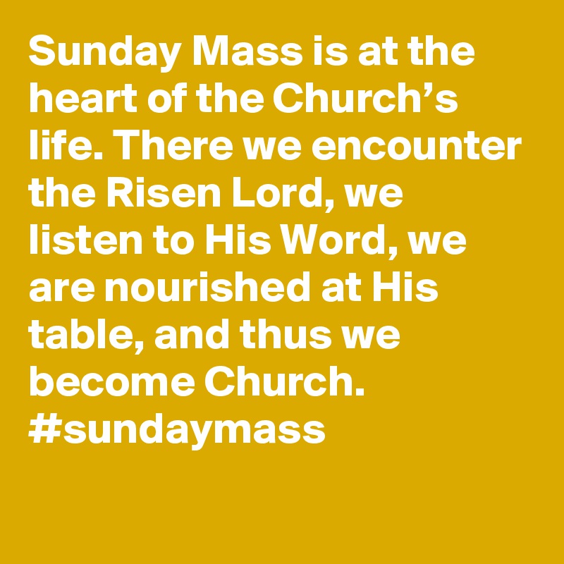 Sunday Mass is at the heart of the Church’s life. There we encounter the Risen Lord, we listen to His Word, we are nourished at His table, and thus we become Church. #sundaymass