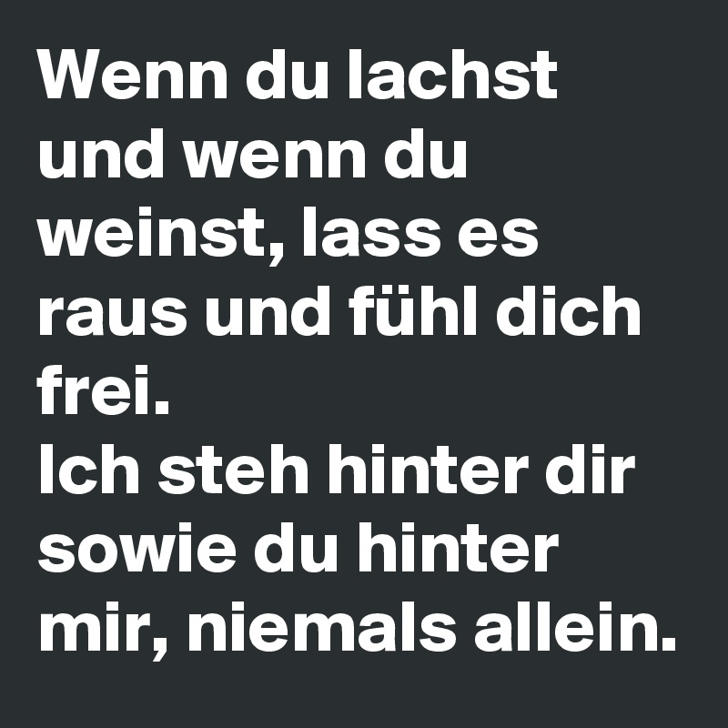 Wenn du lachst und wenn du weinst, lass es raus und fühl dich frei.
Ich steh hinter dir sowie du hinter mir, niemals allein. 