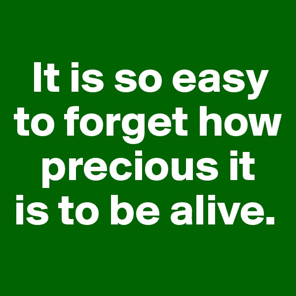 
  It is so easy 
to forget how 
   precious it is to be alive.