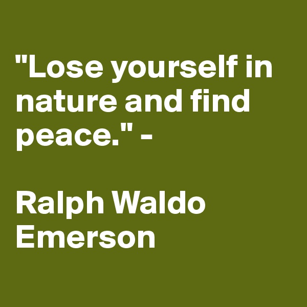 
"Lose yourself in nature and find peace." - 

Ralph Waldo Emerson 
