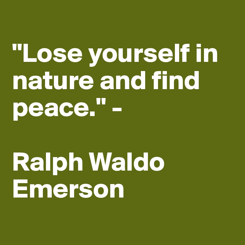 
"Lose yourself in nature and find peace." - 

Ralph Waldo Emerson 

