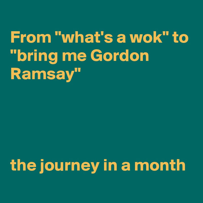 
From "what's a wok" to "bring me Gordon Ramsay"




the journey in a month
