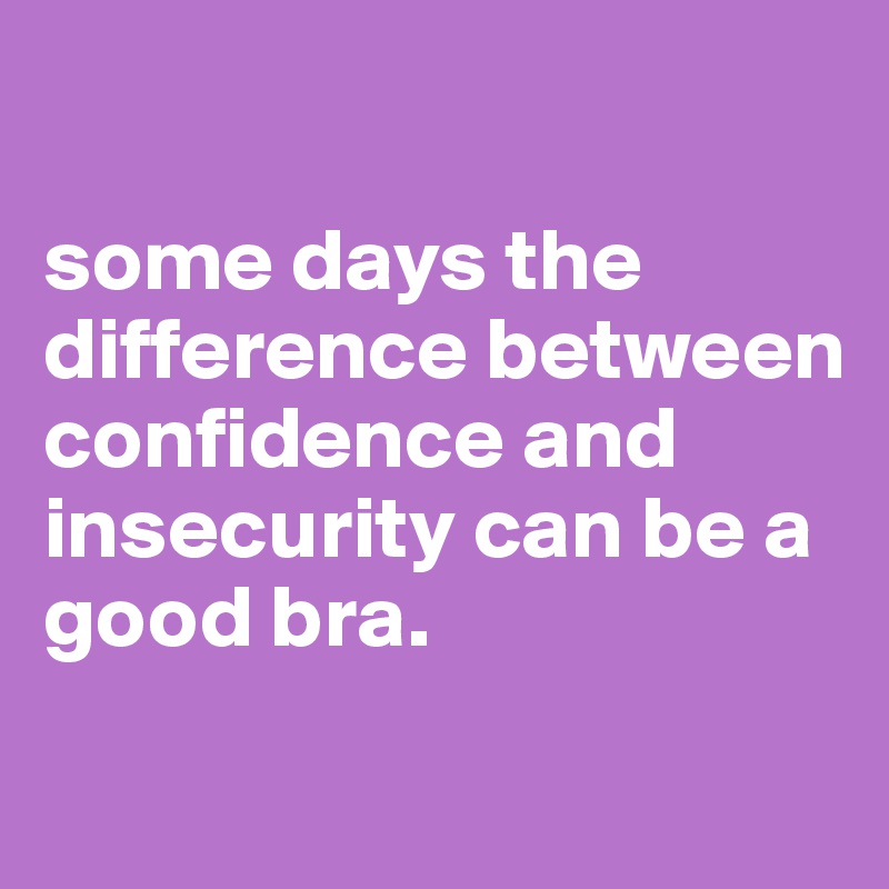 

some days the difference between confidence and insecurity can be a good bra.

