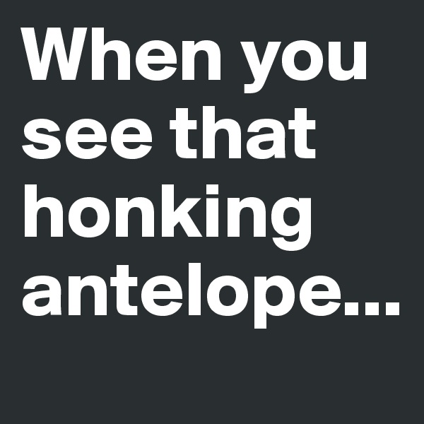 When you see that honking antelope...