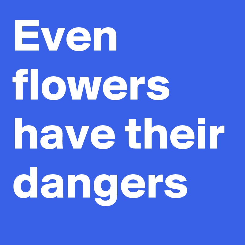 Even flowers have their dangers