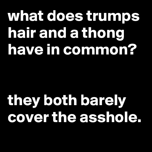 what does trumps hair and a thong have in common?


they both barely cover the asshole.