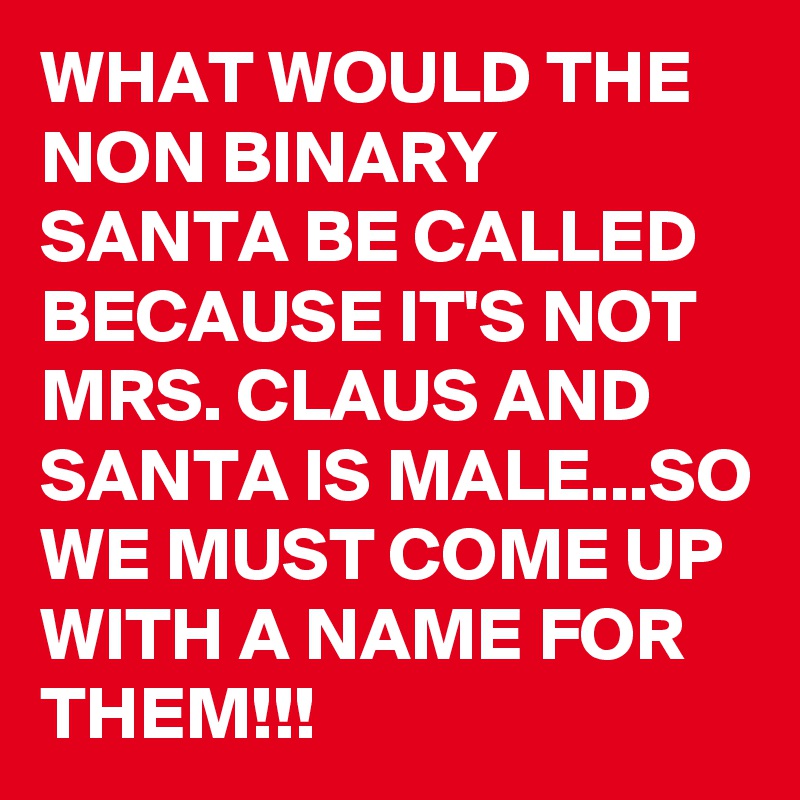 WHAT WOULD THE NON BINARY SANTA BE CALLED BECAUSE IT'S NOT MRS. CLAUS AND SANTA IS MALE...SO WE MUST COME UP WITH A NAME FOR THEM!!!