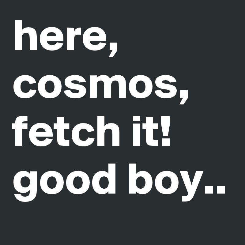 here, cosmos, fetch it!
good boy.. 