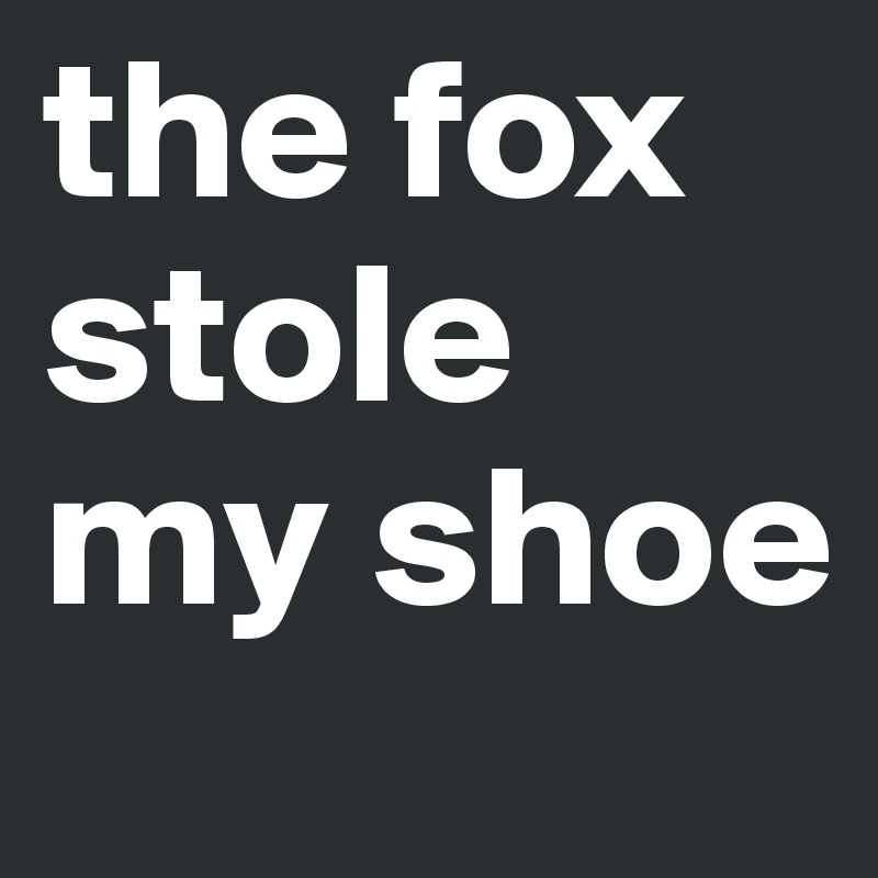 the fox stole my shoe