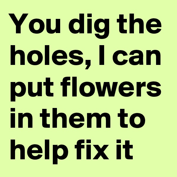 You dig the holes, I can put flowers in them to help fix it