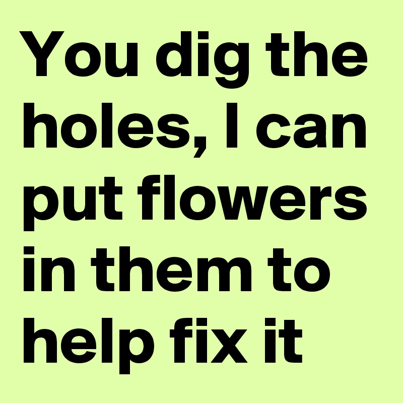 You dig the holes, I can put flowers in them to help fix it