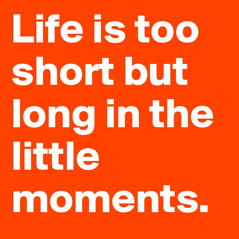 Life is too short but long in the little moments.