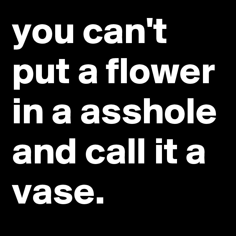 you can't put a flower in a asshole and call it a vase.