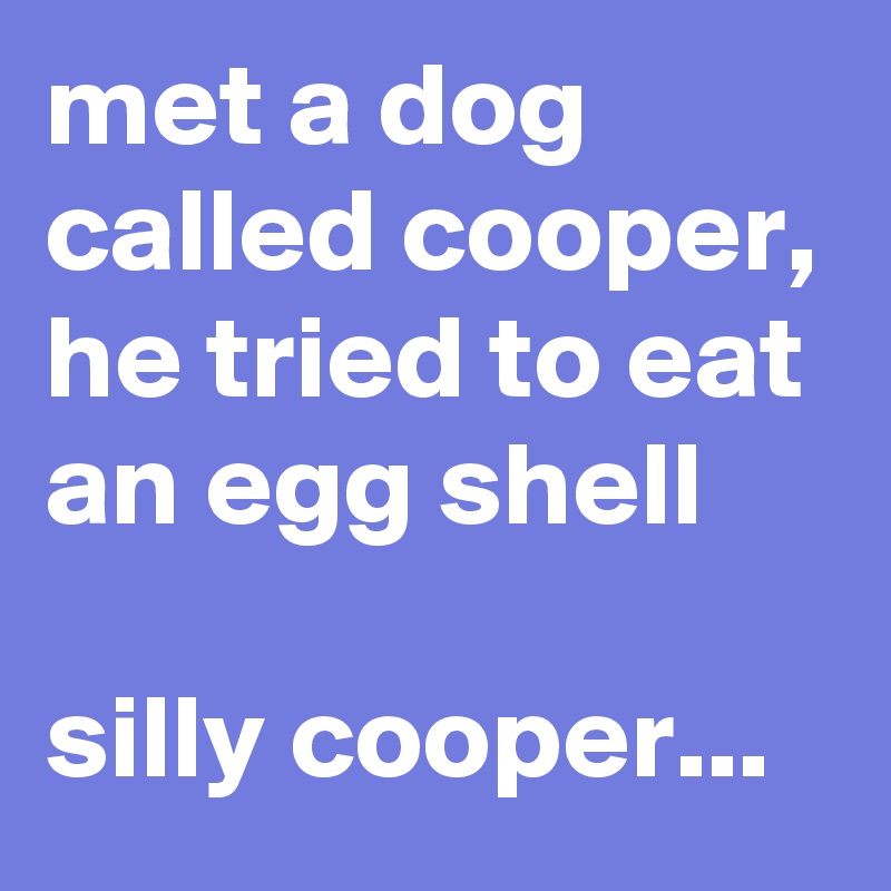 met a dog called cooper, he tried to eat an egg shell

silly cooper...