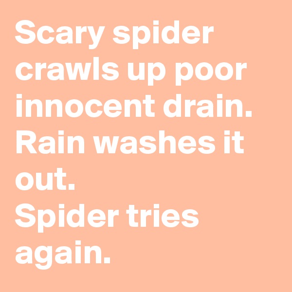 Scary spider crawls up poor innocent drain. Rain washes it out. 
Spider tries again.